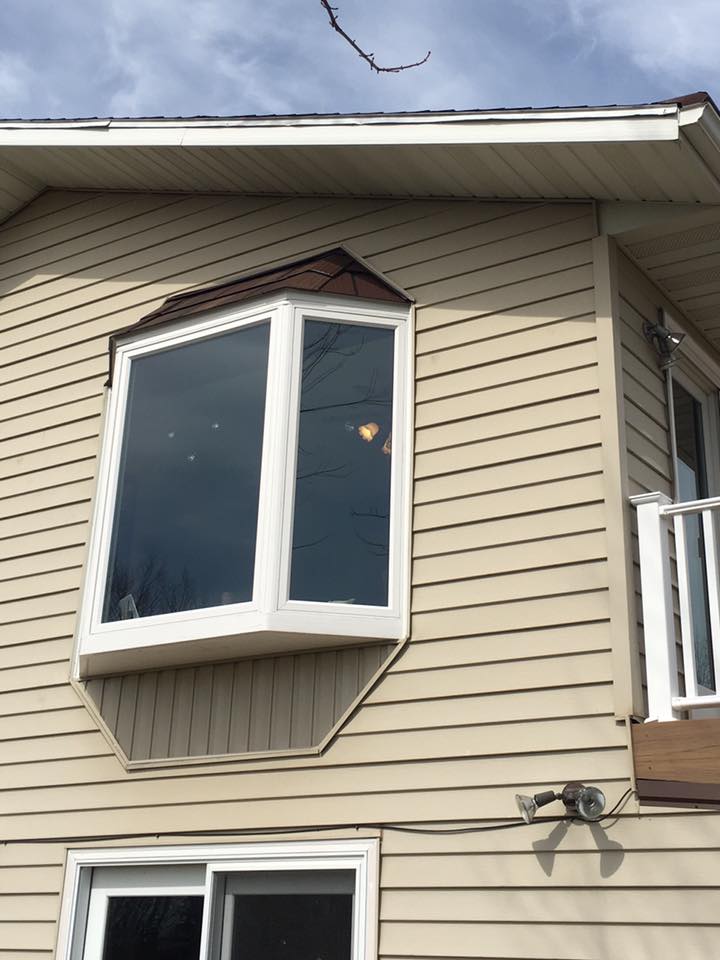 Replacement Windows